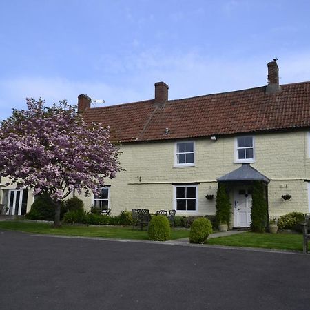 The Lawns Tea Room And B&B Ashcott エクステリア 写真