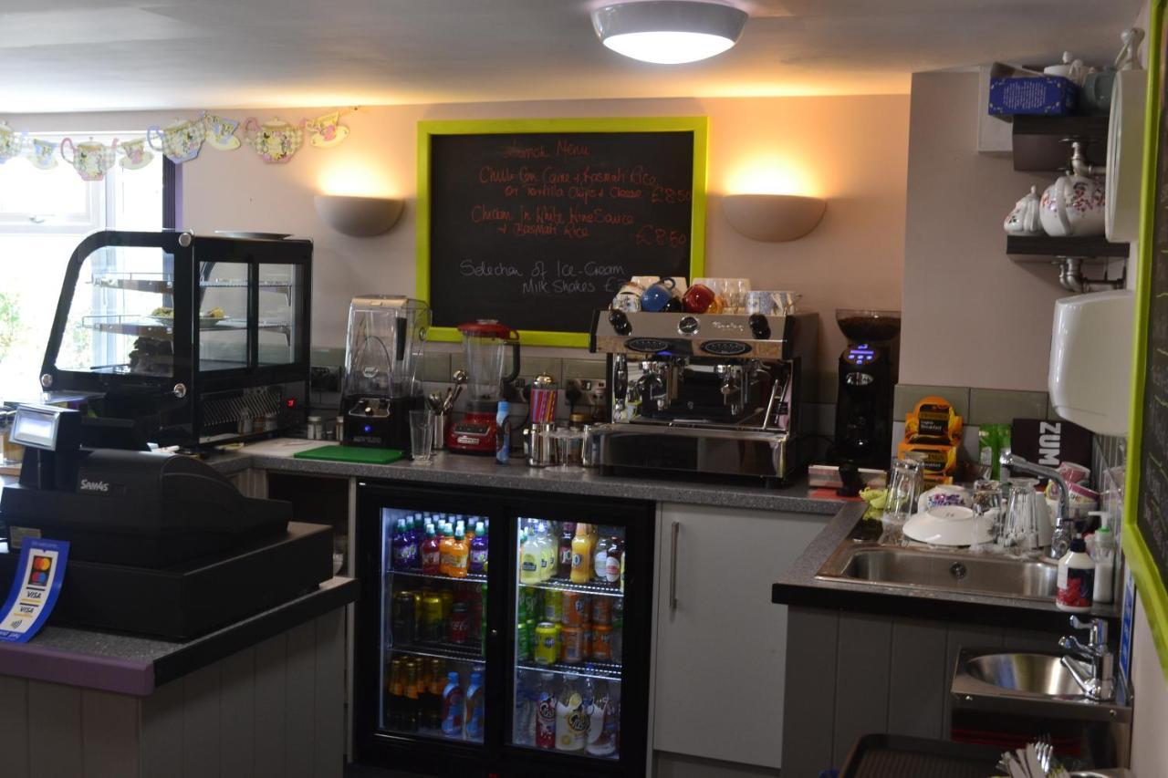 The Lawns Tea Room And B&B Ashcott エクステリア 写真