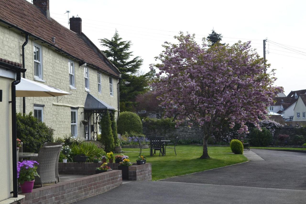 The Lawns Tea Room And B&B Ashcott エクステリア 写真