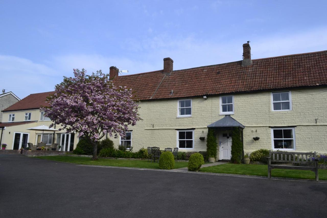 The Lawns Tea Room And B&B Ashcott エクステリア 写真