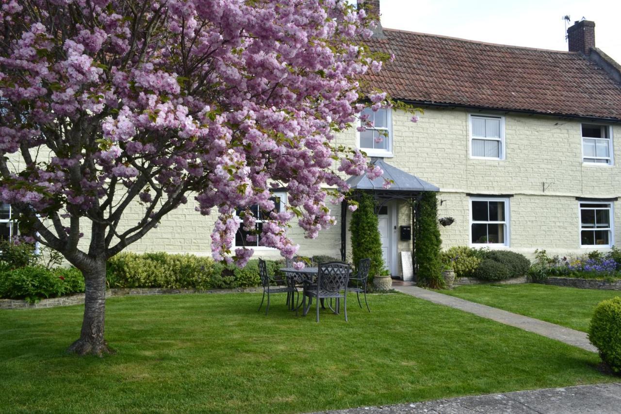 The Lawns Tea Room And B&B Ashcott エクステリア 写真